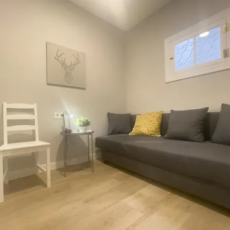 1a107 Magnifico Apartamento En El Centro Gijón